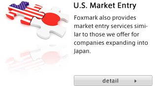 U.S. Market Entry