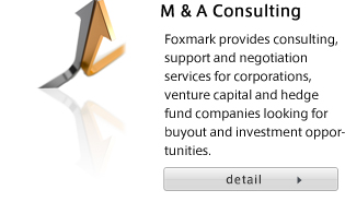 M & A Consulting