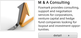 M & A Consulting