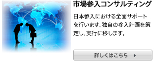 市場参入コンサルティング