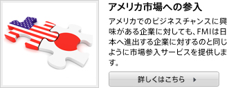 アメリカ市場への参入